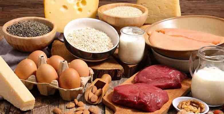 PROTEINAS